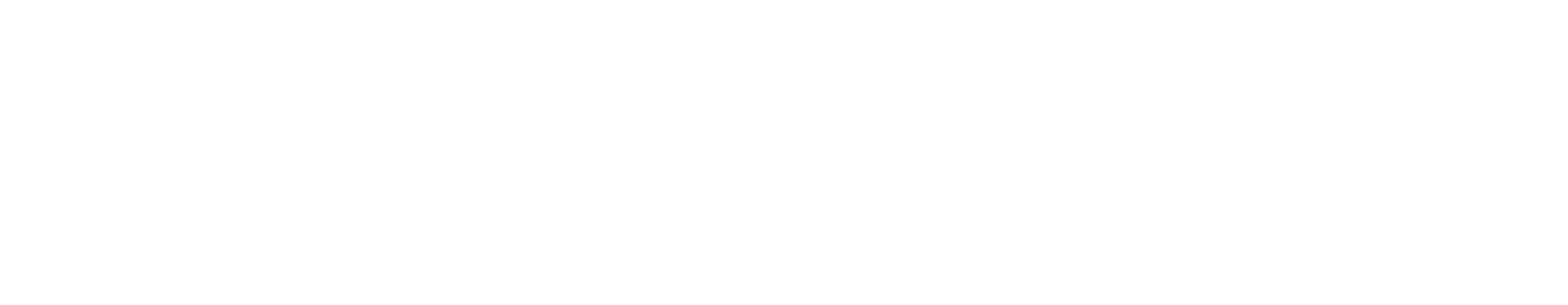 Shinkei Systems